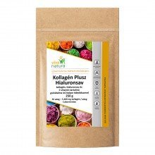 Viva natura kollagén+hialuronsav italpor gránátalma 250g